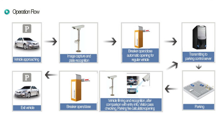 flow chart.jpg